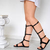 Zenovia Black One