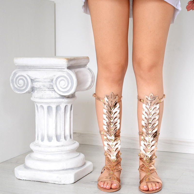 Zenovia Rose Gold Four